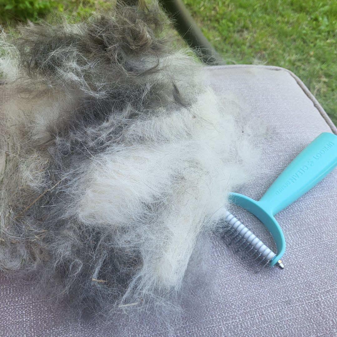 Uproot Cat and Dog Brush